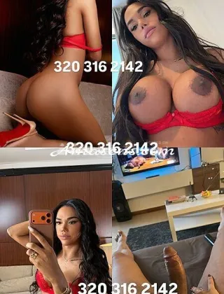 17 - Abbey Trans Treviso - 3203162142