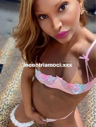 16 - Vanessa Trans Perugia - 3392880056
