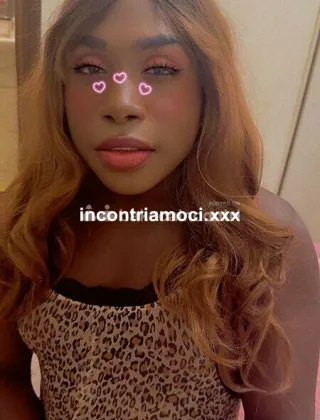 7 - Kristal Trans Lucca - 3510645507