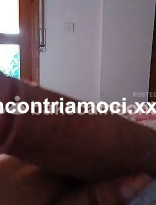 17 - Zarita Trans Roma - 3668709351