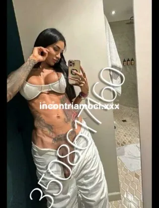 24 - Nina Trans Caserta - 3508617162