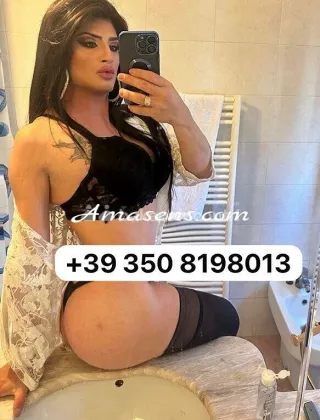 17 - Monica Trans Terni - 3508198013