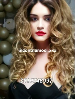 5 - Megadonte Trans Pesaro e Urbino - 3510748997