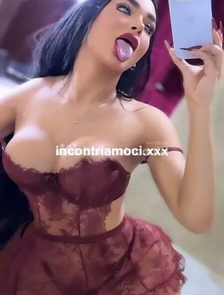 25 - Solo Videocam Trans Milano - 3342551192