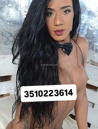 26 - Paloma Trans Brescia - 3510223614