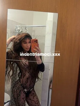 6 - Morena Trans Rimini - 3473029531