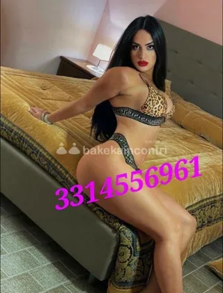 32 - Sofia Trans Bergamo - 3314556961