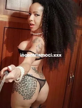 23 - Verona Trans Varese - 3270654407