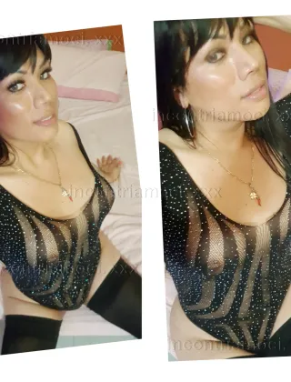 36 - Perdita Trans Roma - 3513962541