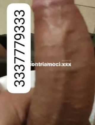 26 - Top Trans Trans Valle d'aosta - 3337779333