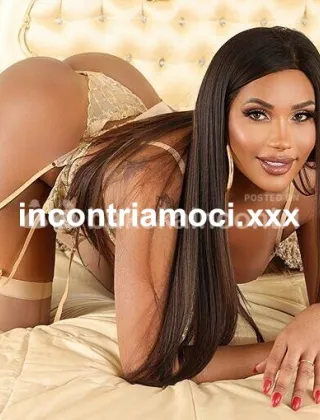 35 - Laiza Ts Trans Piacenza - 3461224529