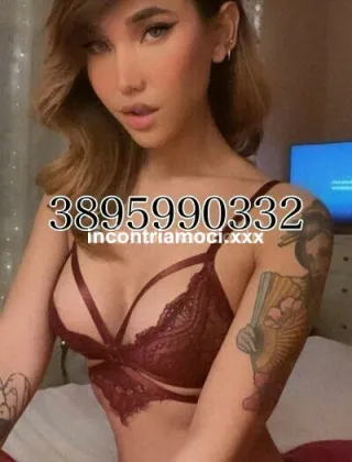 7 - Miles Trans Parma - 3895990332