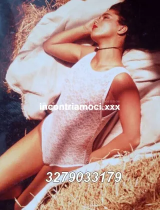 7 - Sissy Escort Alessandria - 3279033179