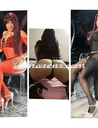 16 - Salome Trans Foggia - 3341768068
