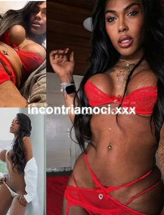 36 - Lesly Trans Bari - 3511928976