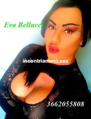 29 - Eva Trans Catanzaro - 3662055808