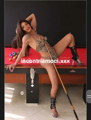 23 - Vittoria Trans Forlì-Cesena - 3534995398