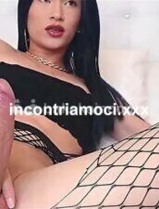 19 - Ambar Vigevano Trans Pavia - 3348923070