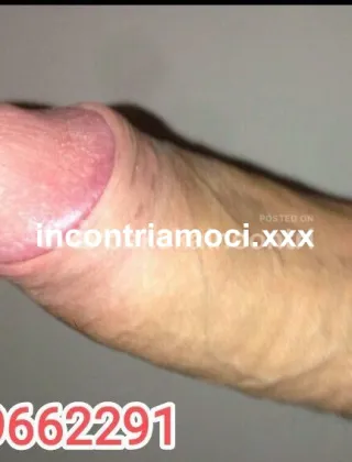 22 - Maly Trans Monza e della Brianza - 3296652291