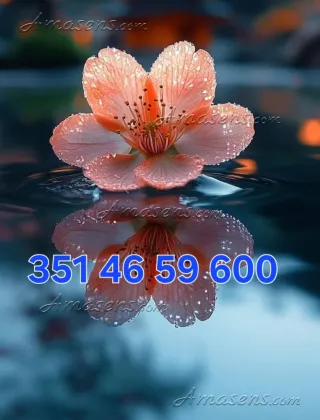 7 - Anna Escort Bologna - 3514659600