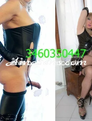 6 - Asia Trans Pavia - 3716701266