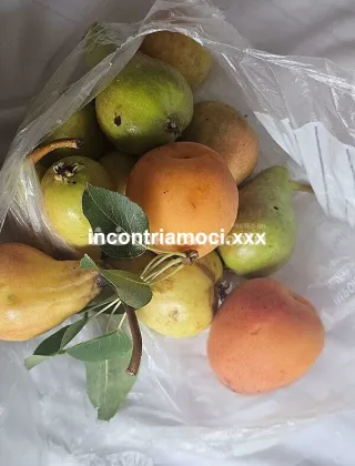 4 - Marinaro Piu Coppie Lecce - 3773805071