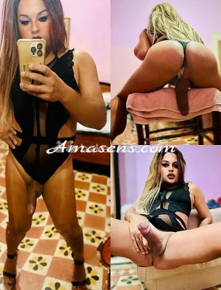 25 - Trans Trans Caserta - 3911293354