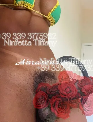 25 - Tiffany Trans Perugia - 3393775932