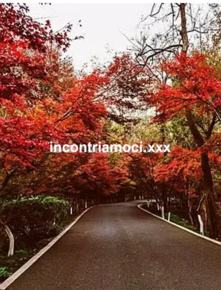 29 - Paola Trans Savona - 3934041695