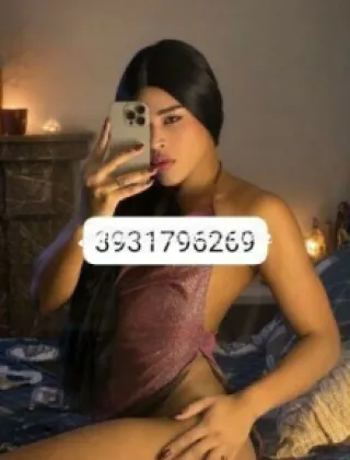6 - Raiza Trans Venezia - 3920739325