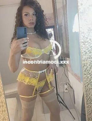 31 - July Trans Roma - 3278091815