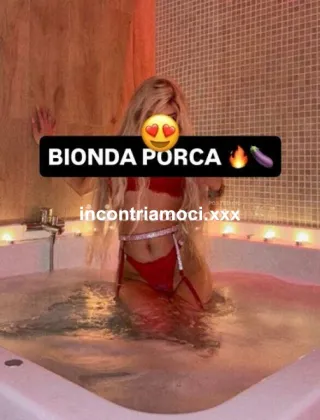 16 - Sara Trans Treviso - 3793473818