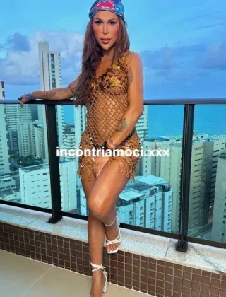 35 - Bruna Trans Milano - 3886426552