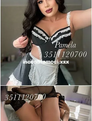 34 - Pamy Pornostar Trans Pesaro e Urbino - 3511120700