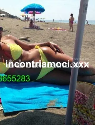 31 - Gabriela Trans Arezzo - 3923655283