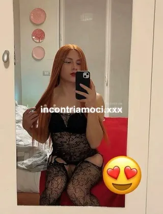 18 - Trans Trans Pavia - 3935943187