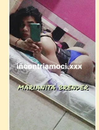 25 - Pene Trans Reggio Emilia - 3930898420