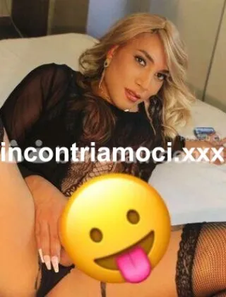 19 - Kimberly Trans Trapani - 3501737774