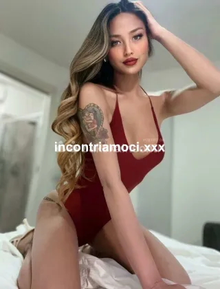 27 - Megan Trans Caserta - 3935020179