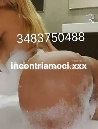 28 - Sirena Trans Mantova - 3483750488