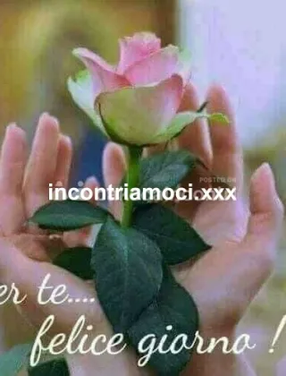 23 - Torodotatoxx Coppie Latina - 3662984882