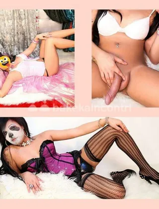 25 - Pamela Trans La spezia - 3297568614