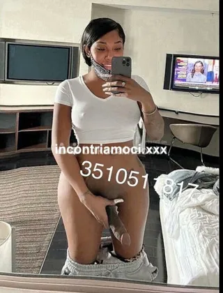 12 - Yeni Trans Bologna - 3511144838