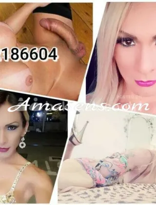 24 - Mishell Trans Bologna - 3202186604
