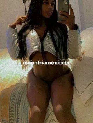 2 - Gioia Trans Milano - 3931204161