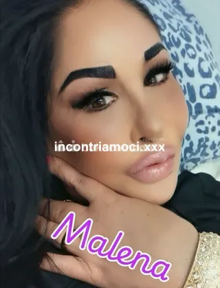 26 - Malena Trans Torino - 3519224757