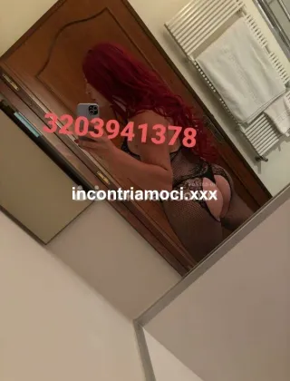 3203941378 - Licata Sabry La Tua Maialina , Pompini Da Oscar