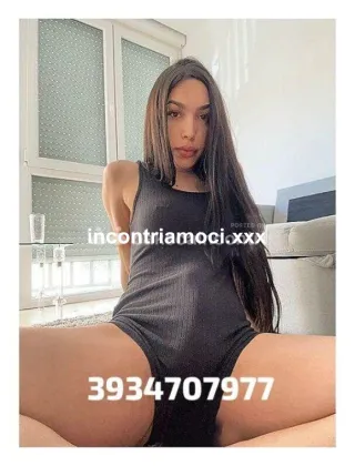 2 - New Trans Venezia - 3934707977