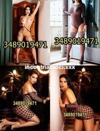 33 - Malika Escort Reggio Emilia - 3489019471