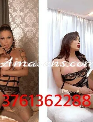 2 - Suzy Trans Bologna - 3347549735